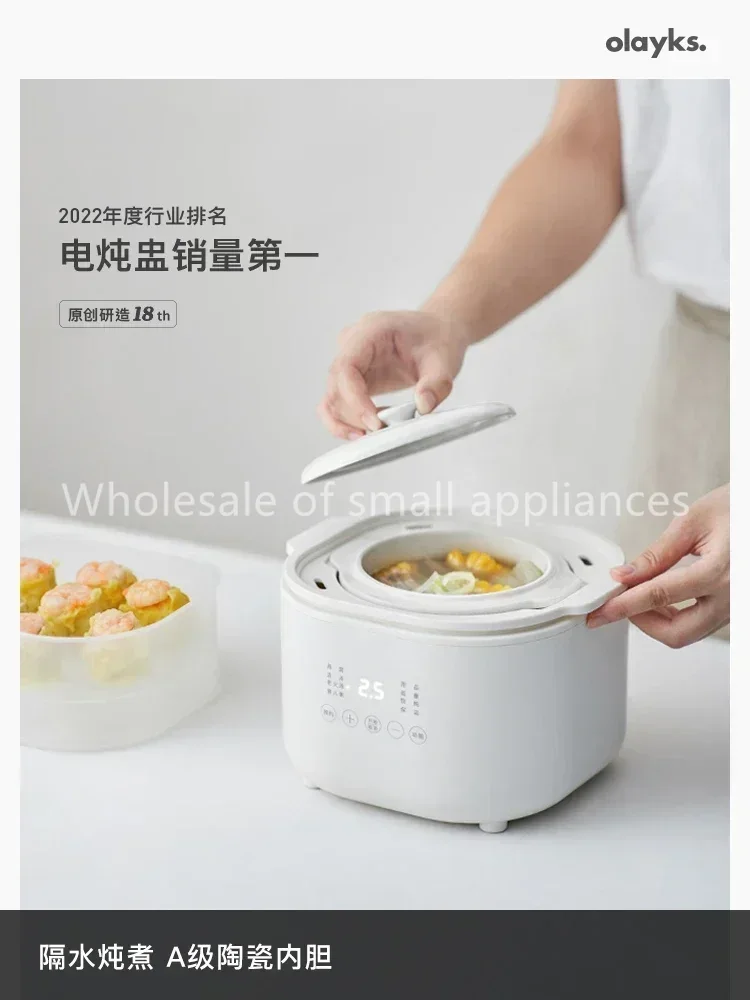 220V Small Electric Cooker, Ba - Baby Food Usa ulasan dan harga