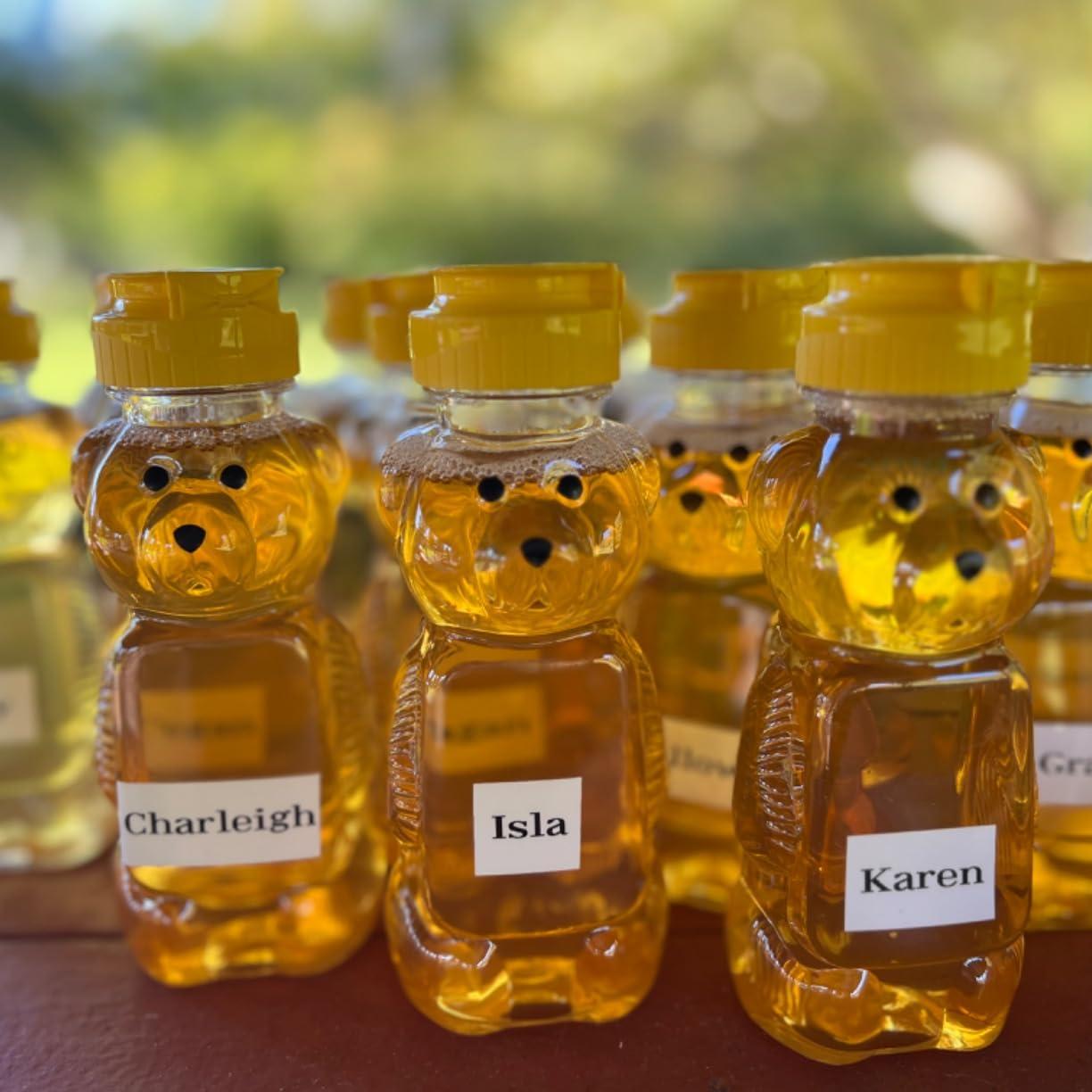 12-36pcs Plastic Bear Honey Ja - Baby Food Jar ulasan dan harga